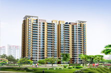 �������������ں�����