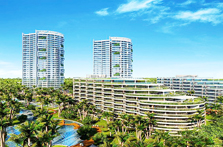 �Ĳ���������