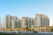 ����������ͥ