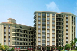 ���������������뻪��Է