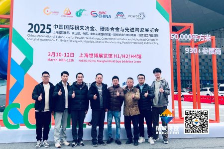 008PG�����ش������17������Ƚ��մ�չ�����Դ�������ת���������ṹ�մ�������